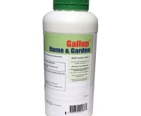 1L Gallup Home and Garden Weedkiller