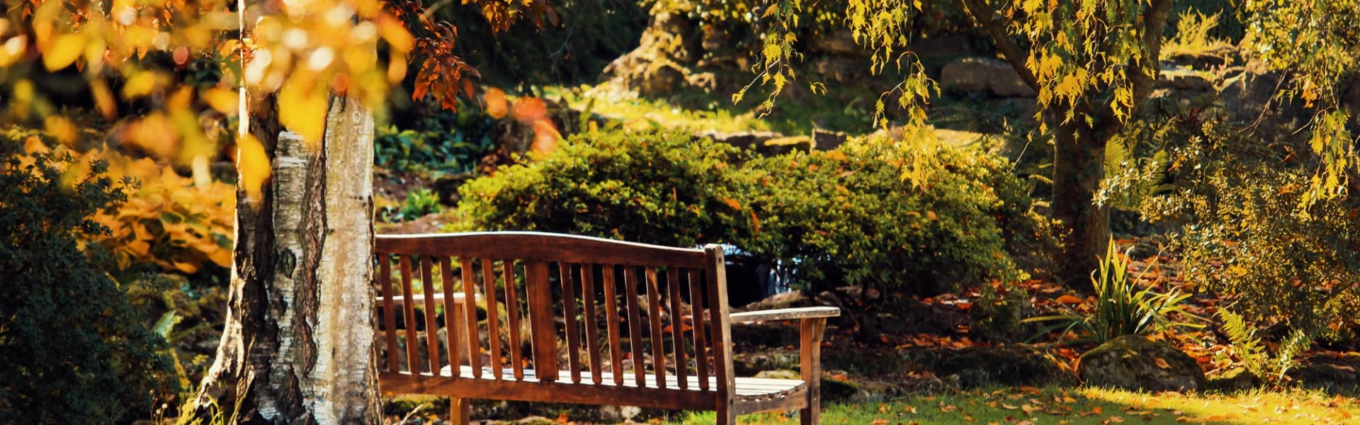 Gardening Supplies Uk