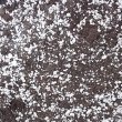 seed cutting compost doctor grow