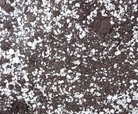 seed cutting compost doctor grow