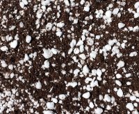 venus flytrap compost doctor grow1