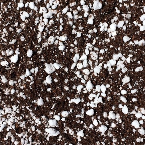 venus flytrap compost doctor grow1