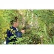 draper expert soft grip pruning saw 500mm