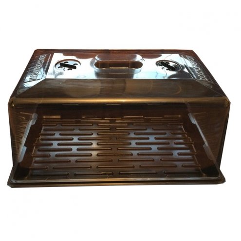 Large High Top Propagator