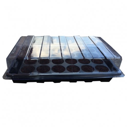 Small Propagator with Cells