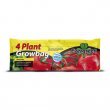 Evergreen 4 Plant Grow Bag 36L