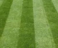 Healthy Lawn Stripes