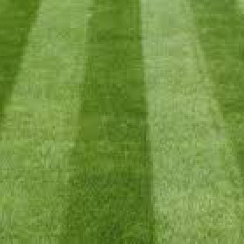 Healthy Lawn Stripes