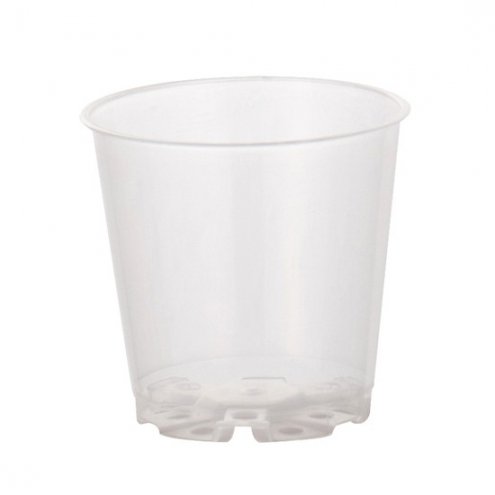 6cm Clear Orchid Pots