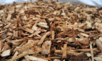 ECC Virgin Willow Chip Size and Colour